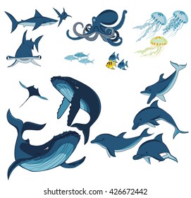 Marine animals isolated on white background, vector illustration
