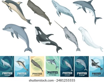 marine animals, Large marine animals, 
whales, dolphins, killer whales, sperm whales