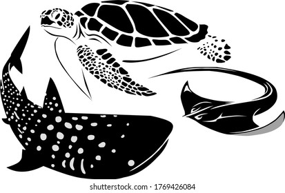 Marine Animals ( Manta ray, sea turtle and whale shark)