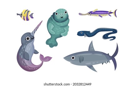 Marine Animals with Narwal and Seal Vector Set