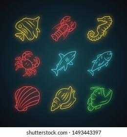 Marine animals neon light icons set. Swimming shark, anglerfish, butterflyfish. Underwater creature. Aquatic organism. Seafood restaurant. Lobster, tuna. Glowing signs. Vector isolated illustrations