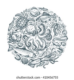 marine animals or seafood. hand drawn sketches. vector illustration