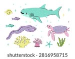 Marine animals set: moray eel, whale shark, sea turtle. Vector graphics