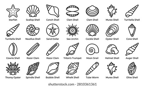 Marine animals set with various sea shells outline icons including starfish, scallop, conch, clam, murex, turritella, nautilus, sand dollar, sea urchin, cockle, oyster, cone, cowrie, razor clam, triton trumpet, moon snail, helmet shell, auger, thorny oyster, spindle, bubble, whelk, tube worm, olive shell.