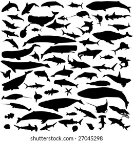 Marine animals silhouette contour