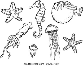 Marine Animals Sketch