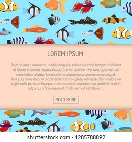 Marine aqua fish banner vector pattern with cute decorative fishes illustration. Funny multicolor background, marine texture underwater aquatic fishing animals.