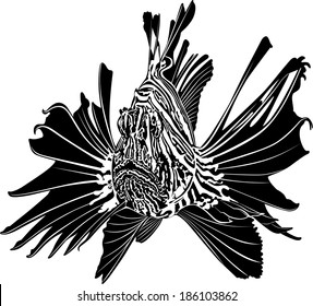 marine aquarium fish Zebra Lionfish