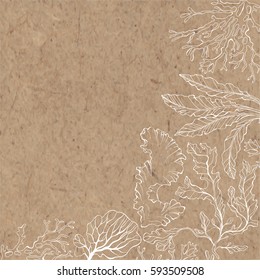 Marine background with algae and place for text. Vector illustration on a kraft paper.