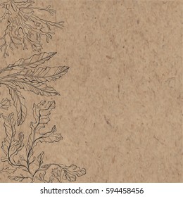 Marine background with algae and place for text. Vector illustration on a kraft paper.
