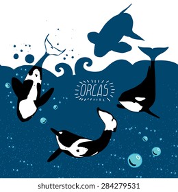 Marine background with a killer whale