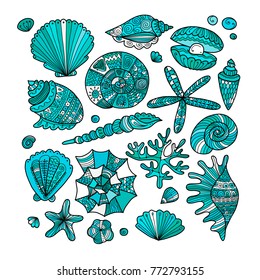 Marine background, ornate seashells for your design. Vector illustration