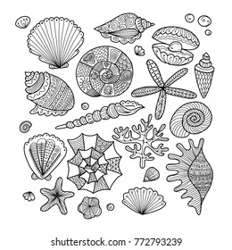Marine background, ornate seashells for your design. Vector illustration