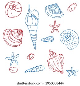 Marine background with sea shells