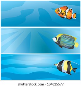 Marine Banner Colorful Fish Stock Vector (Royalty Free) 184825577 ...