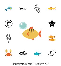 Marine biology icon set