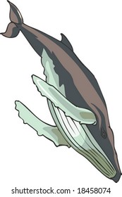 Marine Character
