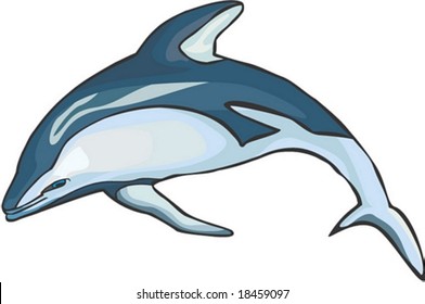Carácter marino