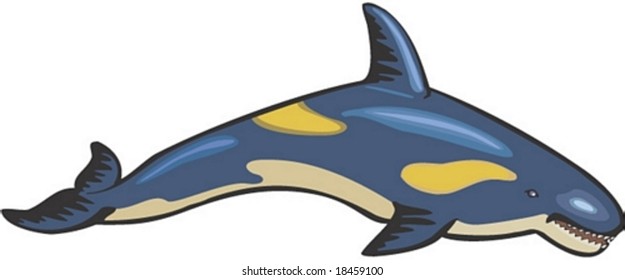 Marine Character