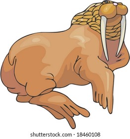 Marine Character