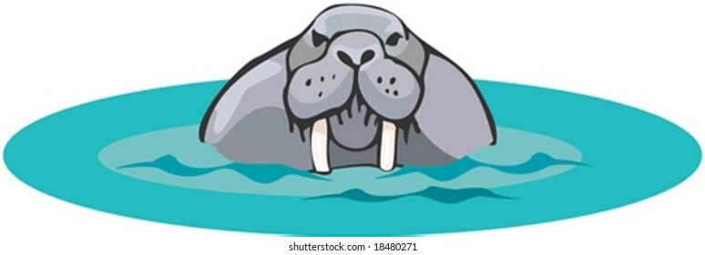 Marine Character