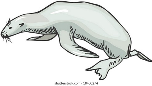 Marine Character
