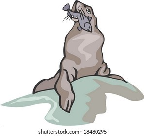 Marine Character