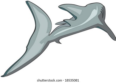 Marine Character