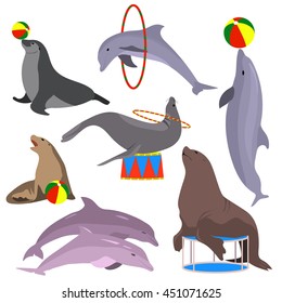 Marine circus animals set. Vector illustration. Flat. Dolphins, seal, sea lion, fur seal. Marine theatre.