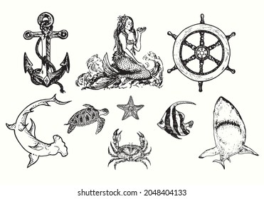 Marine collection,  anchor, mermaid, Ship`s wheel, Hummerhead shark, Sea turtle Chelonioidea, sea star, crab,  schooling bannerfish, white shark. Ink black and white doodle drawing in woodcut  style