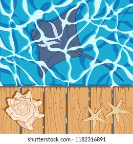 Marine color background with manta, starfish and seashell. Summer vector beach background.