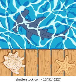 Marine color background with a shark hammer, shell and starfish. Summer vector beach background.