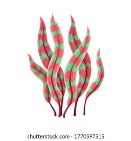 Marine Colorful Algae with Pointed Leaves Vector Illustration