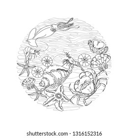 Marine concept in circle shape with thin line various sea creatures  isolated on white background. Hand drawing  crab, starfish, shell. Sea-themed design elements. Retro marine vector illustration.