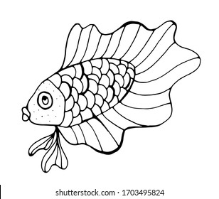 Marine decorative fish on a white background. Aquarium fish. Vector isolated illustration with sea fish. Lake inhabitants. The inhabitants of the ocean. Design of a summer cafe-sign. Menu design.