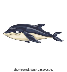 Marine dolphin icon. Cartoon of marine dolphin vector icon for web design isolated on white background