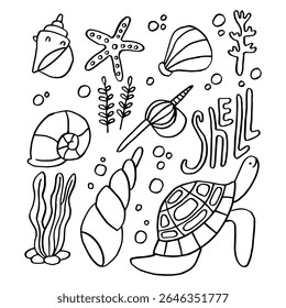 Marine doodle set. Sea and ocean fauna and flora. Summer beach vector illustration. Seashell hand drawn clip art.