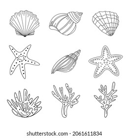Marine doodle set of shells, starfish and coral