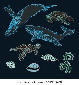 Marine drawing set