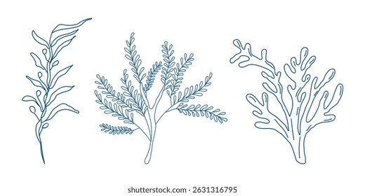 Marine elements doodle style set in blue la dolce vita. Italian style. Undersea world. Menu design of postcard and poster. Vector illustration.