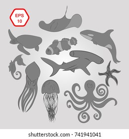 marine fauna