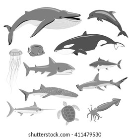 Marine fauna set of aquatic animals. Aquatic fauna, ocean or sea fish wildlife fauna, underwater aquarium exotic life fauna, dolphin water wild vector illustration isolated on white