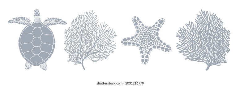 Marine fauna. Set of gray silhouettes of turtle, starfish and corals. Vector illustration isolated on white background.