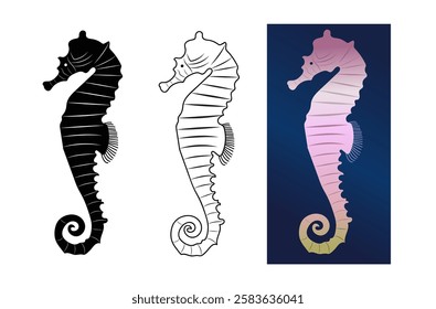 Marine fauna. Set of seahorses (hippocampus) on a white background. Vector illustration