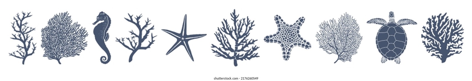 Marine fauna. Six corals, a seahorse, two starfish and a turtle. Dark gray blue vector silhouettes isolated on white background.