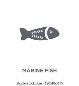 Marine Fish icon. Marine Fish design concept from Australia collection. Simple element vector illustration on white background.