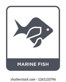 marine fish icon vector on white background, marine fish trendy filled icons from Culture collection, marine fish simple element illustration