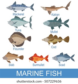 Lista De Identificación De Peces Marinos Con Nombres
