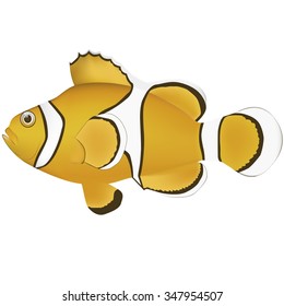 marine fish illustrator