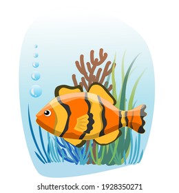 A marine fish is swimming under water and among with beautiful, colorful sea plants. Vector sea and marine image.